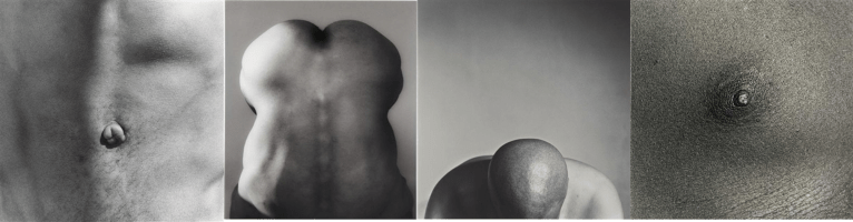Robert Mapplethorpe bodies photography close up nipple belly button