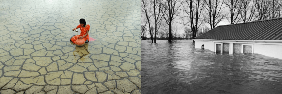 environmental photog