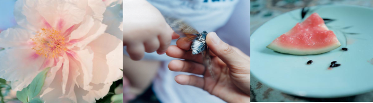 Rinko Kawauchi 2.jpg