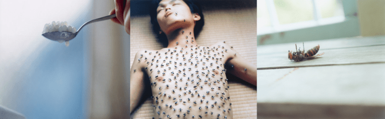 Rinko Kawauchi  Utatane japanese photography art