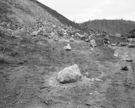 Cem Ersavci Norther Forest 6.PNG